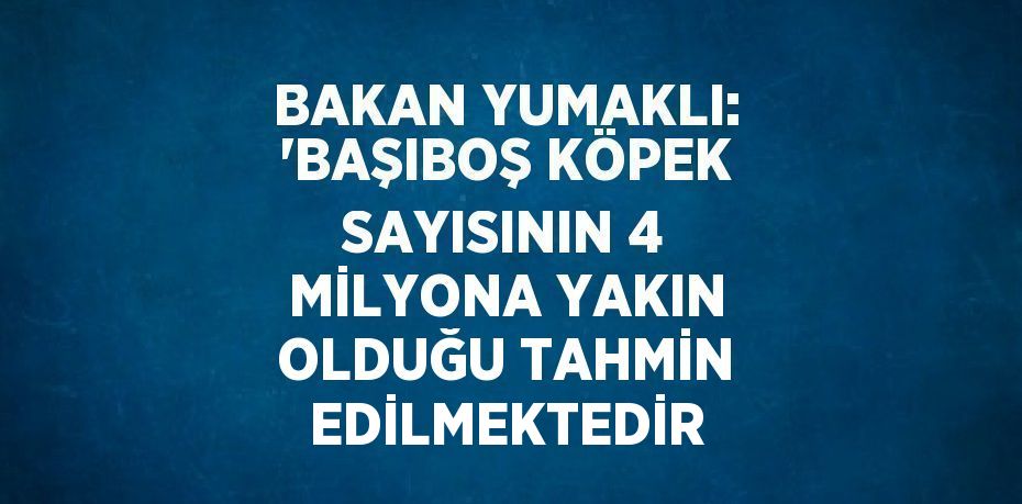 BAKAN YUMAKLI: 'BAŞIBOŞ KÖPEK SAYISININ 4 MİLYONA YAKIN OLDUĞU TAHMİN EDİLMEKTEDİR