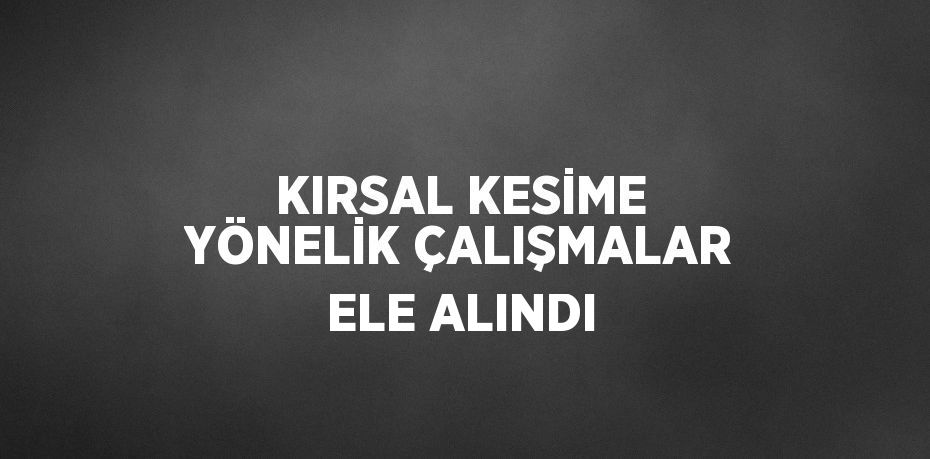 KIRSAL KESİME YÖNELİK ÇALIŞMALAR ELE ALINDI