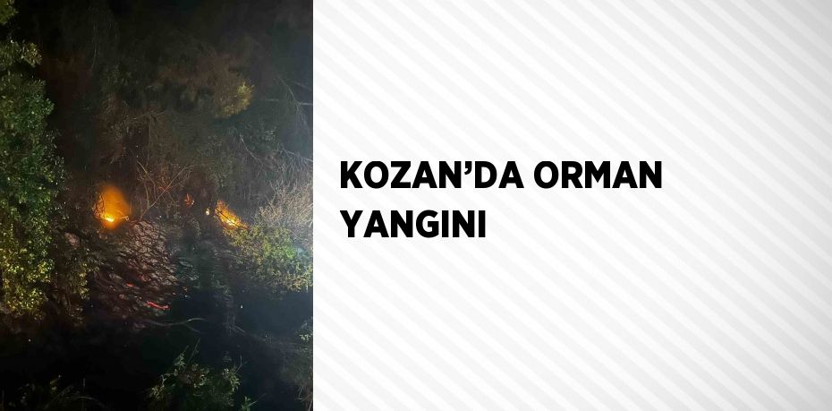 KOZAN’DA ORMAN YANGINI