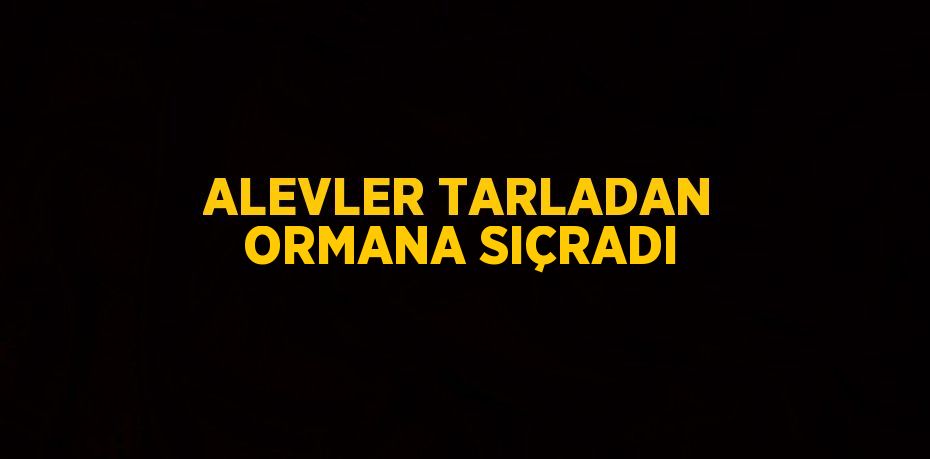 ALEVLER TARLADAN ORMANA SIÇRADI