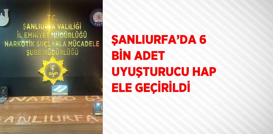 ŞANLIURFA’DA 6 BİN ADET UYUŞTURUCU HAP ELE GEÇİRİLDİ