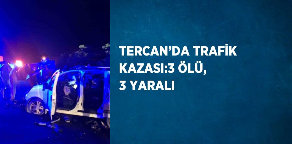 TERCAN’DA TRAFİK KAZASI:3 ÖLÜ, 3 YARALI