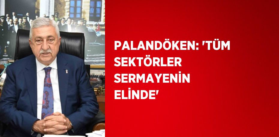 PALANDÖKEN: 'TÜM SEKTÖRLER SERMAYENİN ELİNDE'