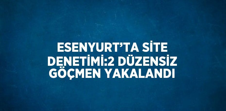 ESENYURT’TA SİTE DENETİMİ:2 DÜZENSİZ GÖÇMEN YAKALANDI