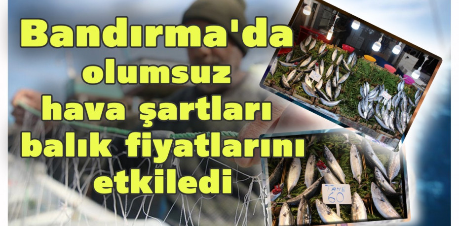 Bandırma'da olumsuz hava şartları balık fiyatlarını etkiledi