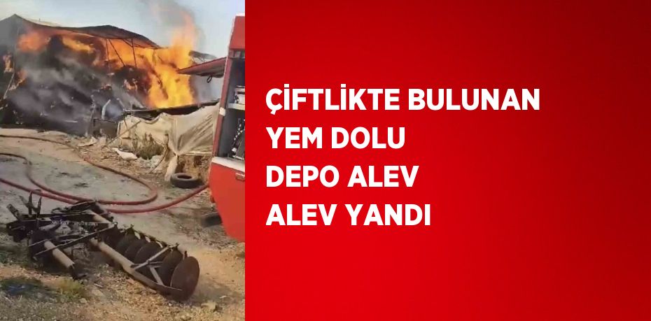 ÇİFTLİKTE BULUNAN YEM DOLU DEPO ALEV ALEV YANDI