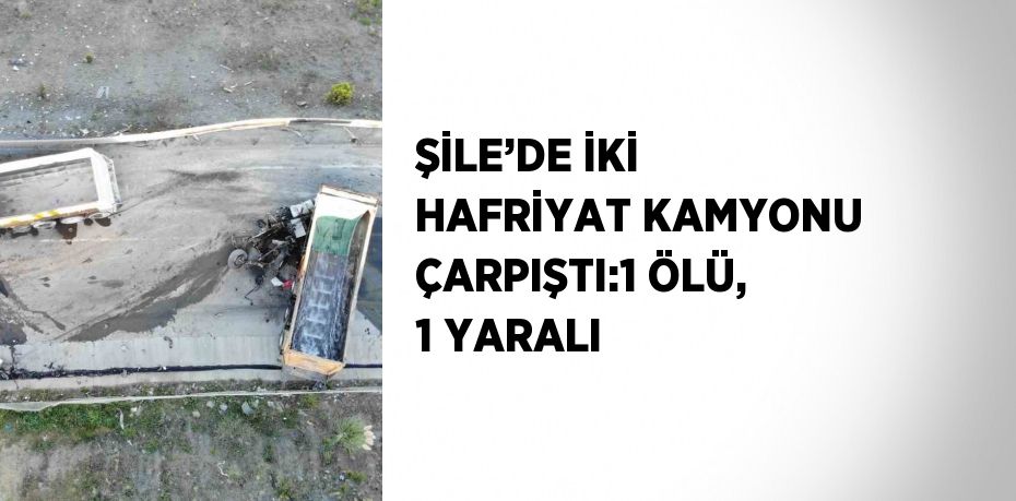 ŞİLE’DE İKİ HAFRİYAT KAMYONU ÇARPIŞTI:1 ÖLÜ, 1 YARALI