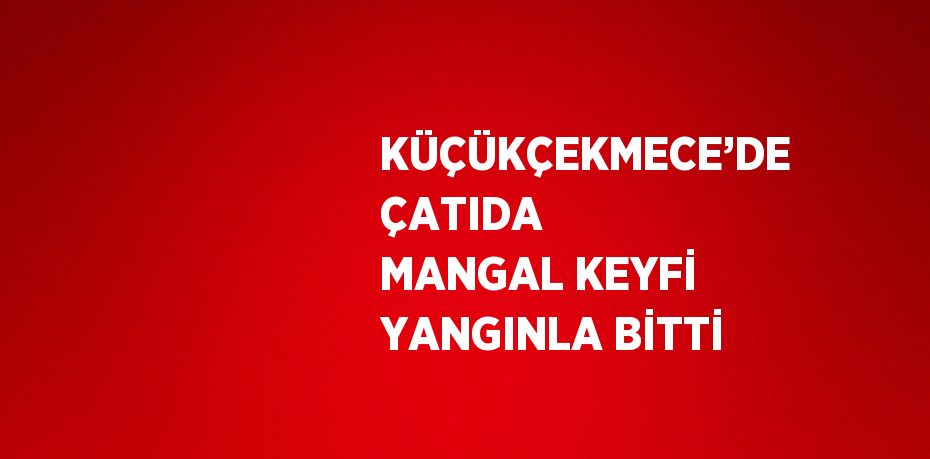 KÜÇÜKÇEKMECE’DE ÇATIDA MANGAL KEYFİ YANGINLA BİTTİ