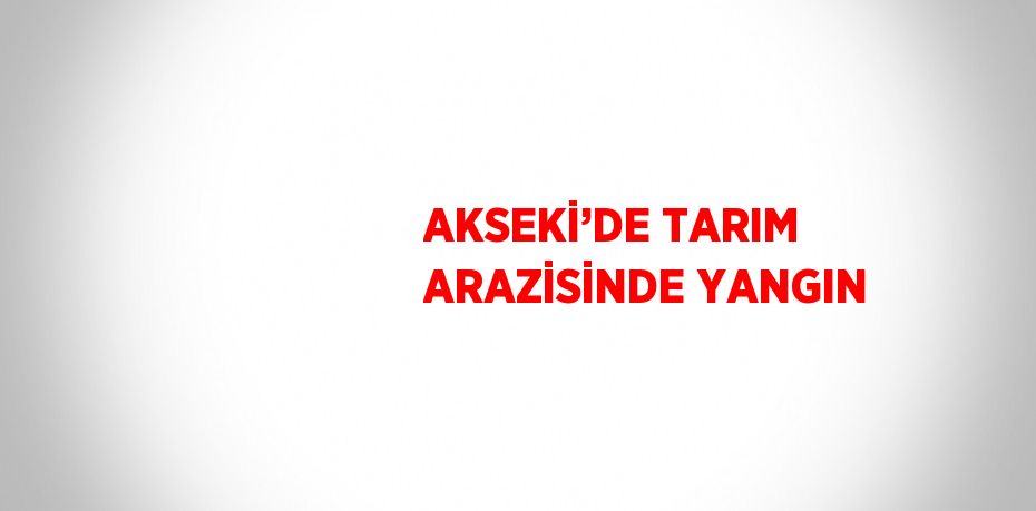 AKSEKİ’DE TARIM ARAZİSİNDE YANGIN