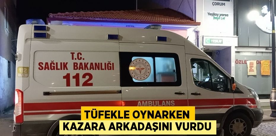 TÜFEKLE OYNARKEN KAZARA ARKADAŞINI VURDU