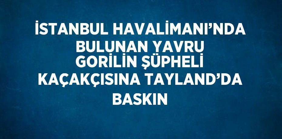 İSTANBUL HAVALİMANI’NDA BULUNAN YAVRU GORİLİN ŞÜPHELİ KAÇAKÇISINA TAYLAND’DA BASKIN