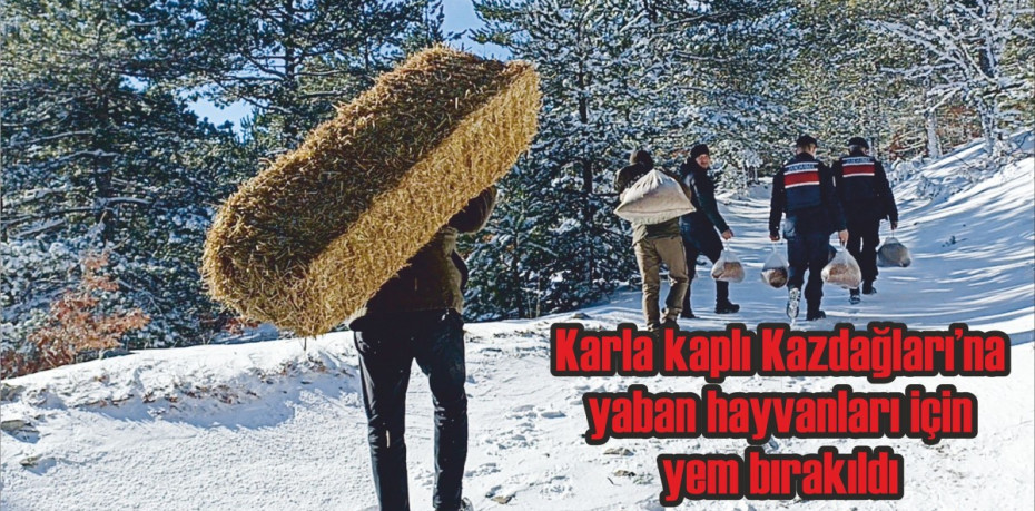 Karla kaplı Kazdağları’na yaban hayvanları için yem bırakıldı