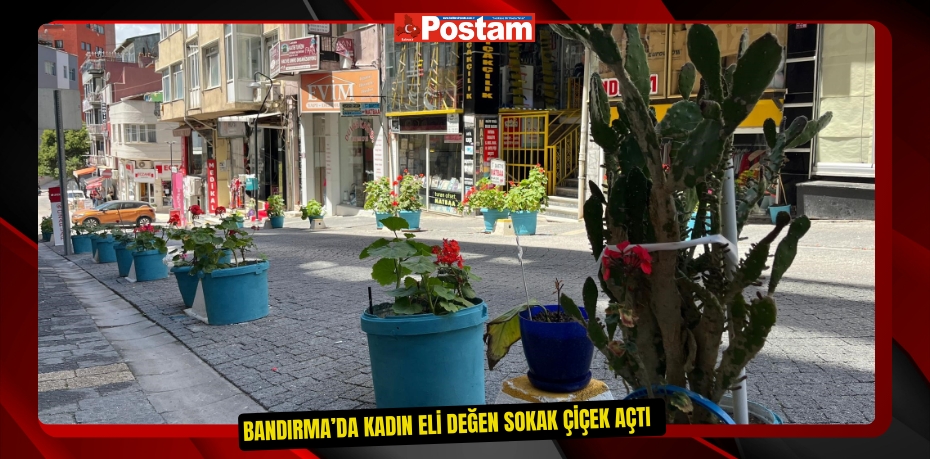 Bandırma’da kadın eli değen sokak çiçek açtı  