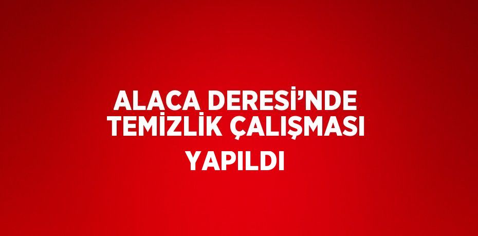 ALACA DERESİ’NDE TEMİZLİK ÇALIŞMASI YAPILDI