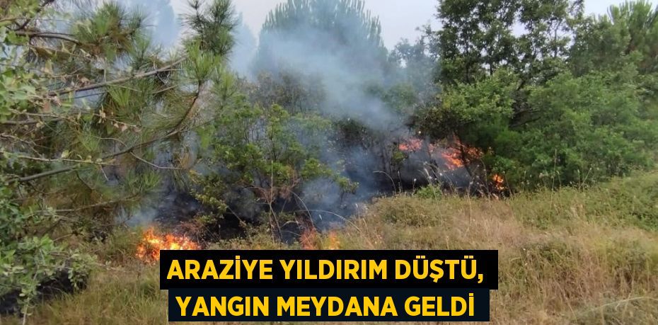 Araziye yıldırım düştü, yangın meydana geldi