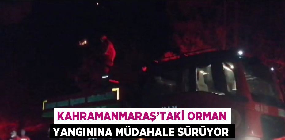 KAHRAMANMARAŞ’TAKİ ORMAN YANGININA MÜDAHALE SÜRÜYOR