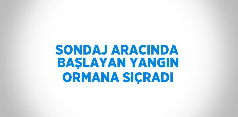 SONDAJ ARACINDA BAŞLAYAN YANGIN ORMANA SIÇRADI