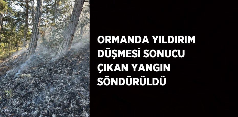 ORMANDA YILDIRIM DÜŞMESİ SONUCU ÇIKAN YANGIN SÖNDÜRÜLDÜ