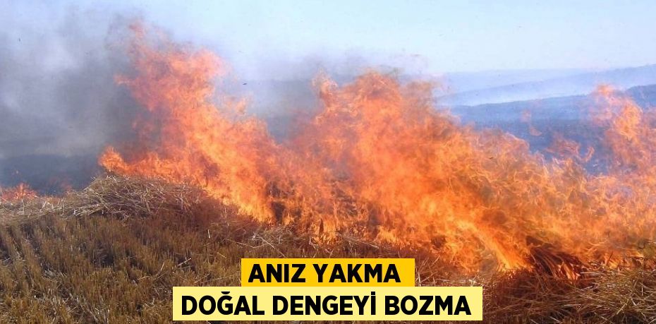 ANIZ YAKMA DOĞAL DENGEYİ BOZMA