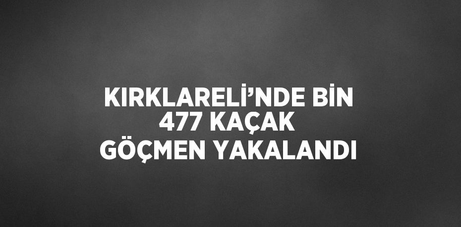 KIRKLARELİ’NDE BİN 477 KAÇAK GÖÇMEN YAKALANDI