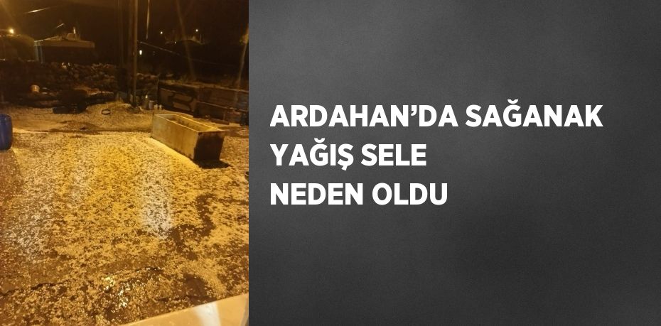 ARDAHAN’DA SAĞANAK YAĞIŞ SELE NEDEN OLDU