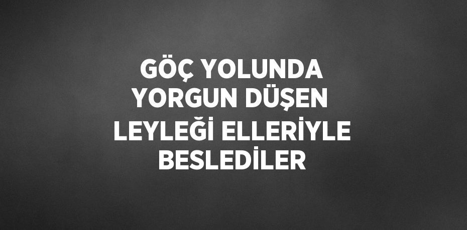 GÖÇ YOLUNDA YORGUN DÜŞEN LEYLEĞİ ELLERİYLE BESLEDİLER