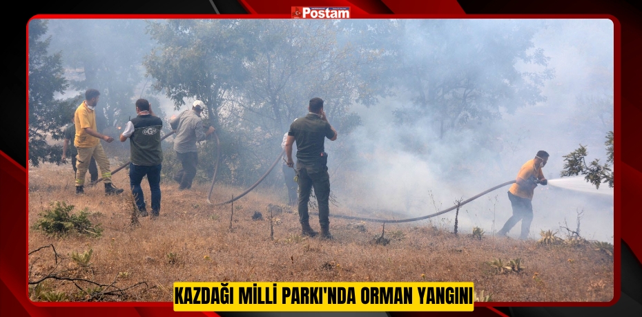 Kazdağı Milli Parkı'nda orman yangını  