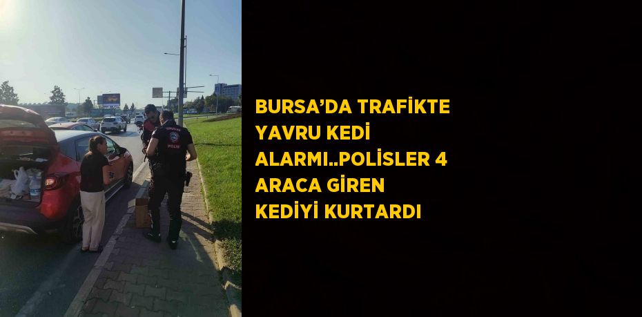 BURSA’DA TRAFİKTE YAVRU KEDİ ALARMI..POLİSLER 4 ARACA GİREN KEDİYİ KURTARDI