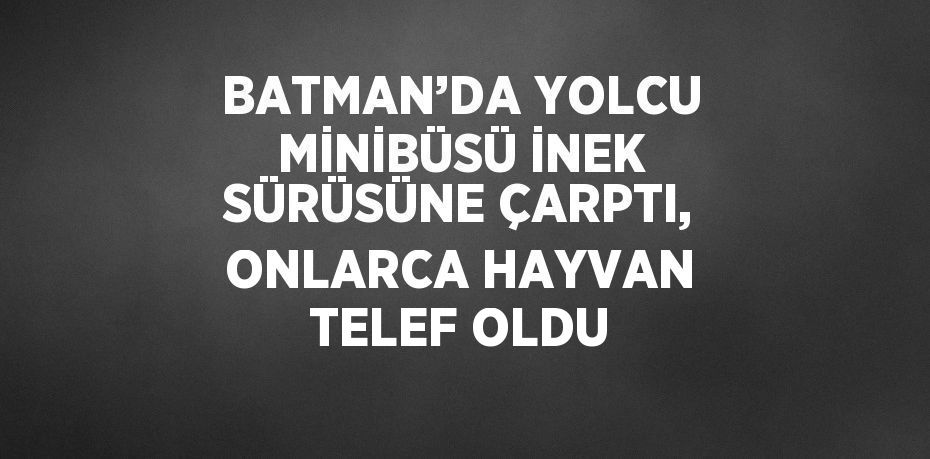 BATMAN’DA YOLCU MİNİBÜSÜ İNEK SÜRÜSÜNE ÇARPTI, ONLARCA HAYVAN TELEF OLDU