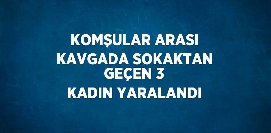 KOMŞULAR ARASI KAVGADA SOKAKTAN GEÇEN 3 KADIN YARALANDI