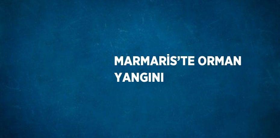 MARMARİS’TE ORMAN YANGINI