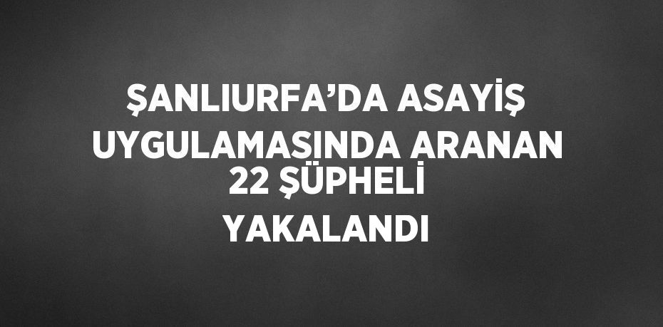 ŞANLIURFA’DA ASAYİŞ UYGULAMASINDA ARANAN 22 ŞÜPHELİ YAKALANDI