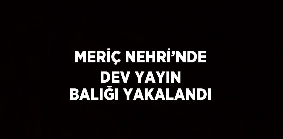 MERİÇ NEHRİ’NDE DEV YAYIN BALIĞI YAKALANDI