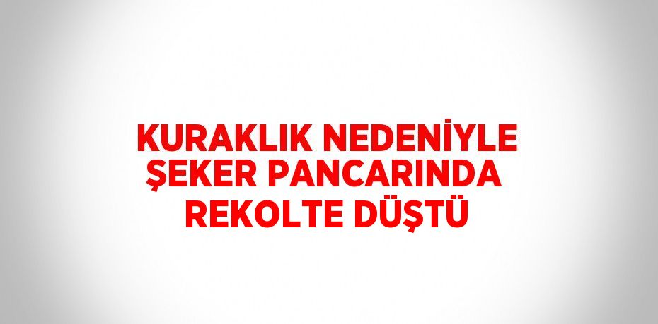 KURAKLIK NEDENİYLE ŞEKER PANCARINDA REKOLTE DÜŞTÜ