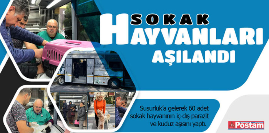 SOKAK HAYVANLARI AŞILANDI