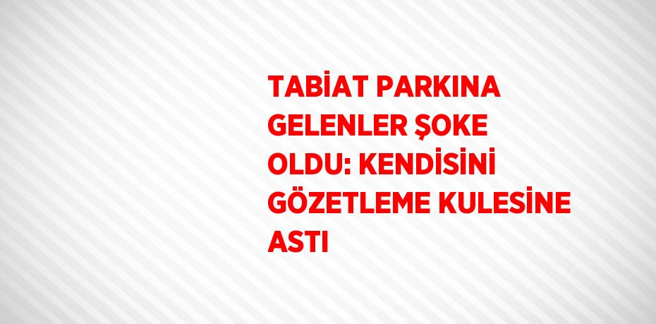 TABİAT PARKINA GELENLER ŞOKE OLDU: KENDİSİNİ GÖZETLEME KULESİNE ASTI