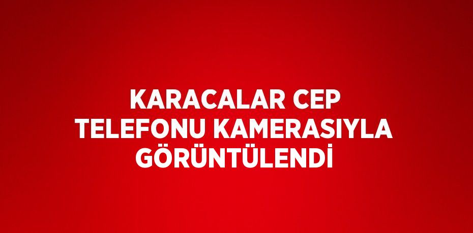 KARACALAR CEP TELEFONU KAMERASIYLA GÖRÜNTÜLENDİ