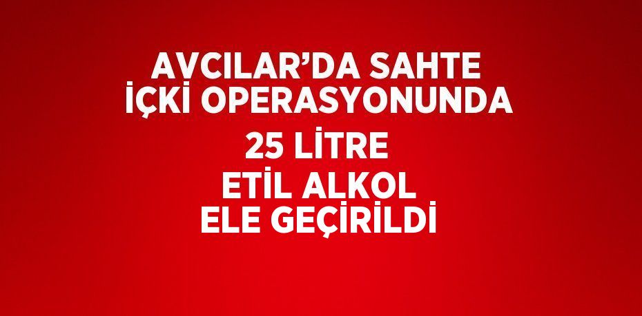 AVCILAR’DA SAHTE İÇKİ OPERASYONUNDA 25 LİTRE ETİL ALKOL ELE GEÇİRİLDİ