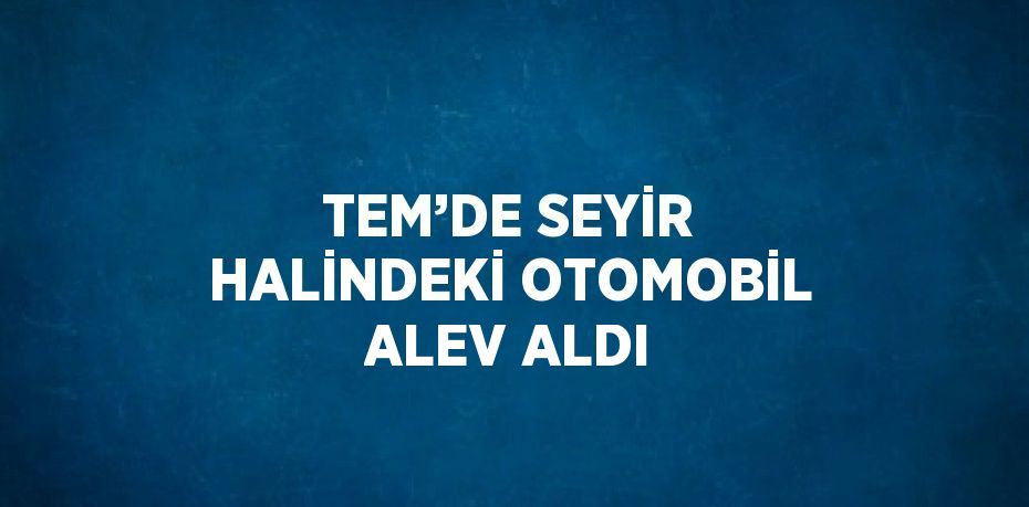 TEM’DE SEYİR HALİNDEKİ OTOMOBİL ALEV ALDI