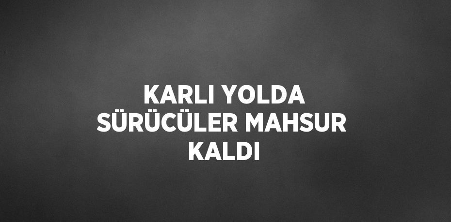 KARLI YOLDA SÜRÜCÜLER MAHSUR KALDI