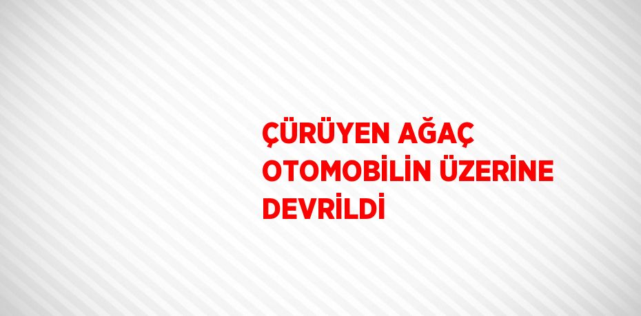 ÇÜRÜYEN AĞAÇ OTOMOBİLİN ÜZERİNE DEVRİLDİ