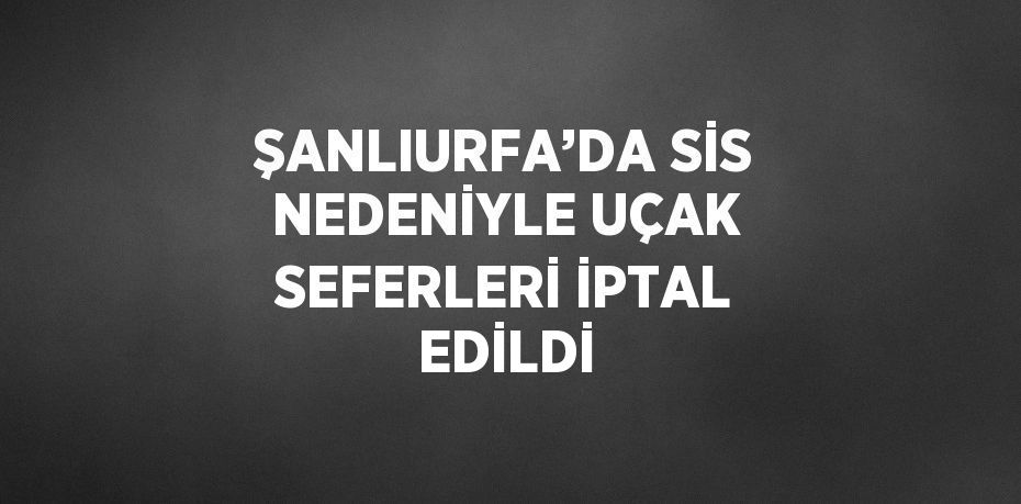 ŞANLIURFA’DA SİS NEDENİYLE UÇAK SEFERLERİ İPTAL EDİLDİ