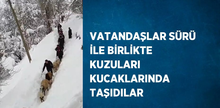 VATANDAŞLAR SÜRÜ İLE BİRLİKTE KUZULARI KUCAKLARINDA TAŞIDILAR