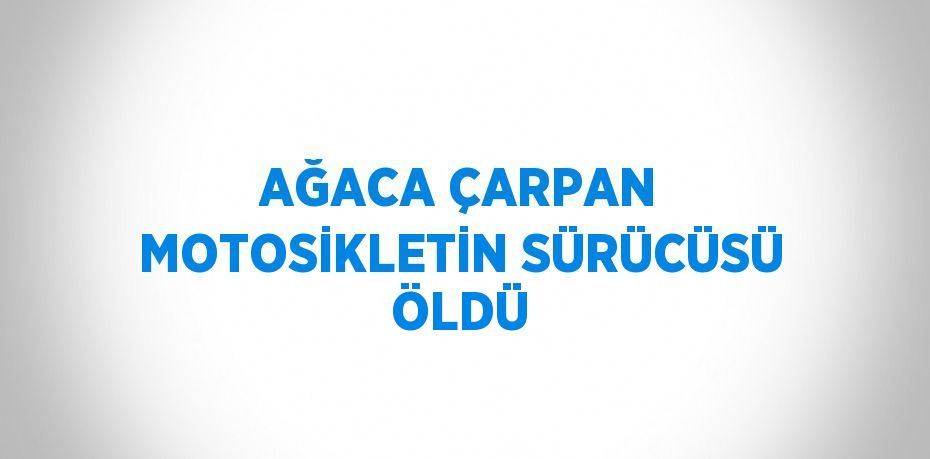 AĞACA ÇARPAN MOTOSİKLETİN SÜRÜCÜSÜ ÖLDÜ