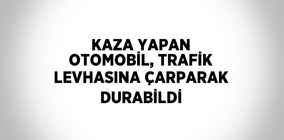 KAZA YAPAN OTOMOBİL, TRAFİK LEVHASINA ÇARPARAK DURABİLDİ