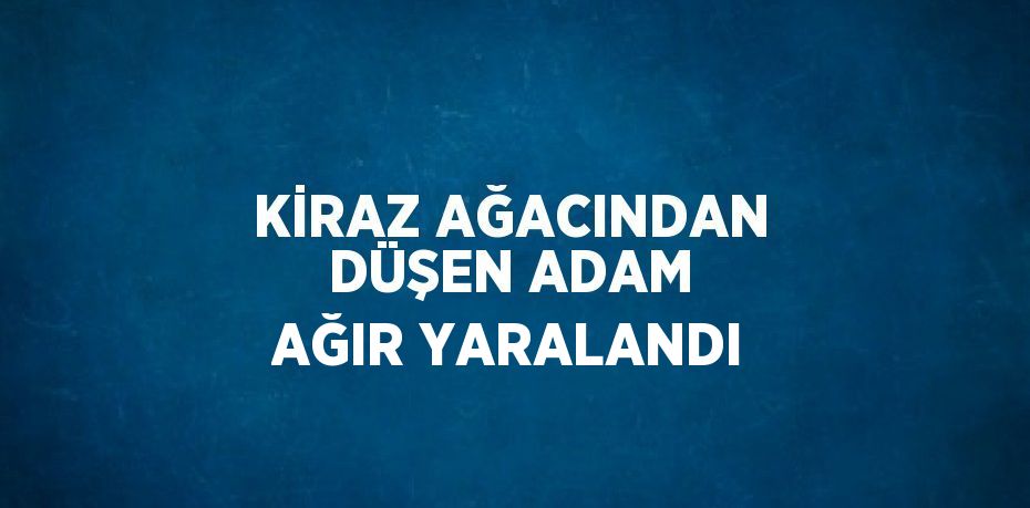 KİRAZ AĞACINDAN DÜŞEN ADAM AĞIR YARALANDI