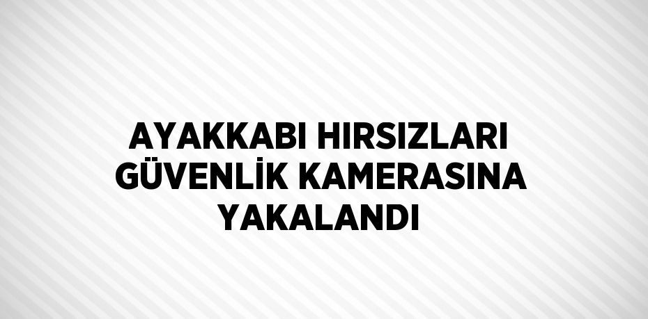 AYAKKABI HIRSIZLARI GÜVENLİK KAMERASINA YAKALANDI