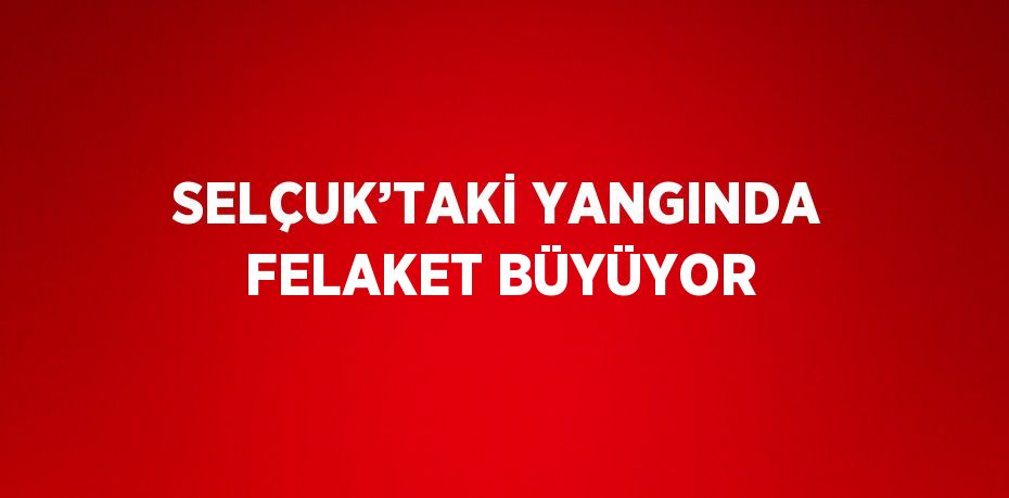 SELÇUK’TAKİ YANGINDA FELAKET BÜYÜYOR