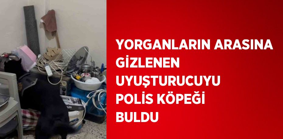 YORGANLARIN ARASINA GİZLENEN UYUŞTURUCUYU POLİS KÖPEĞİ BULDU