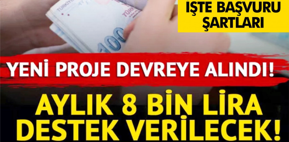 Bakanlık düğmeye bastı! Yeni projeyle aylık 8 bin lira verilecek... İşte başvuru şartları